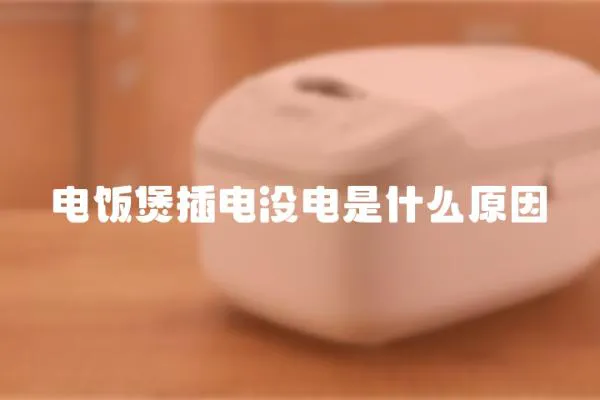 電飯煲插電沒電是什么原因