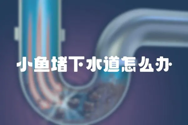 小魚堵下水道怎么辦