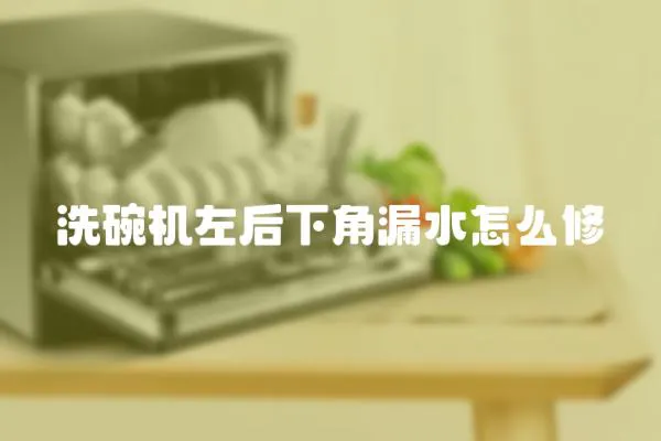 洗碗機左后下角漏水怎么修