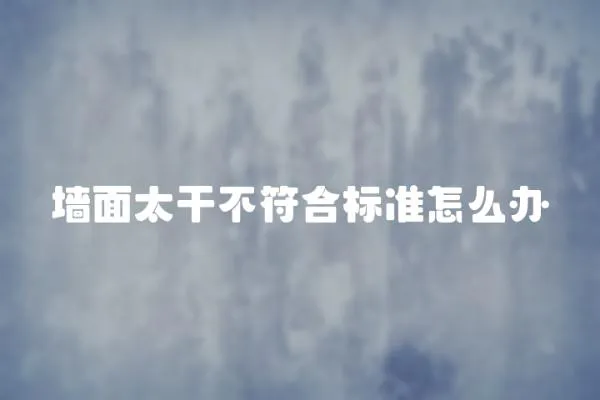 墻面太干不符合標準怎么辦