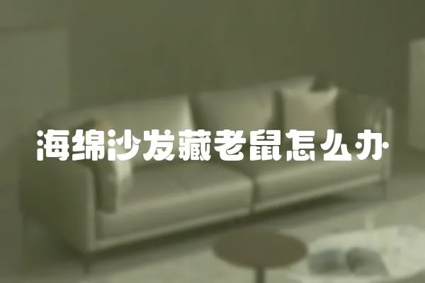 海綿沙發(fā)藏老鼠怎么辦