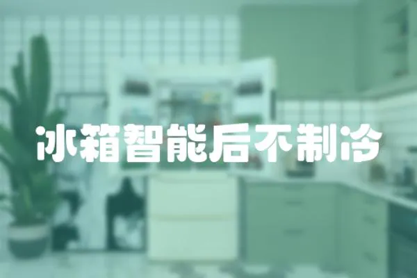 冰箱智能后不制冷