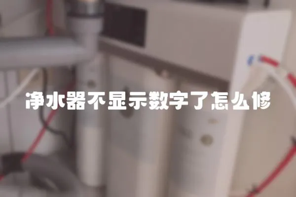 净水器不显示数字了怎么修