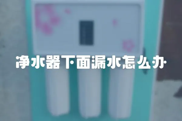 凈水器下面漏水怎么辦