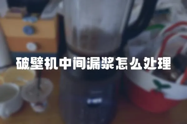 破壁机中间漏浆怎么处理