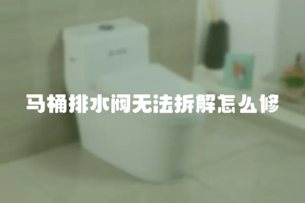 馬桶排水閥無法拆解怎么修