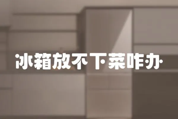 冰箱放不下菜咋辦