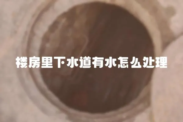 樓房里下水道有水怎么處理
