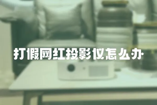 打假網(wǎng)紅投影儀怎么辦
