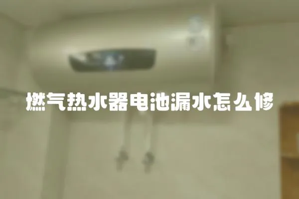 燃氣熱水器電池漏水怎么修