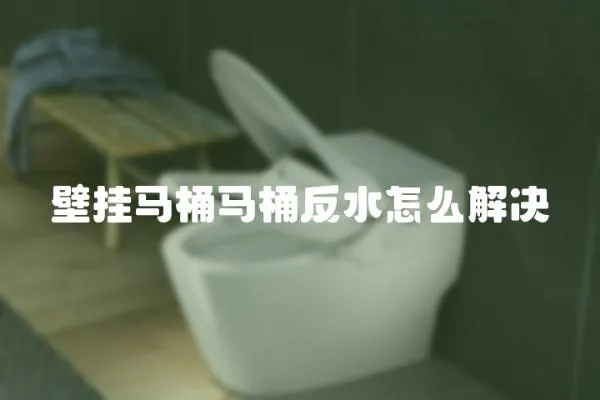 壁掛馬桶馬桶反水怎么解決