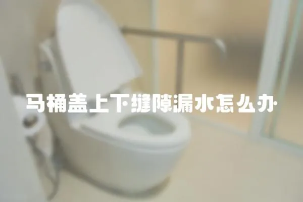 馬桶蓋上下縫隙漏水怎么辦