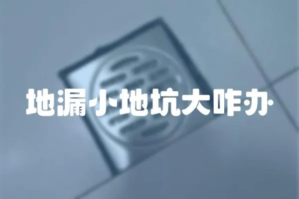 地漏小地坑大咋辦