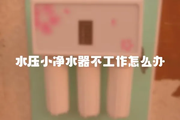 水壓小凈水器不工作怎么辦
