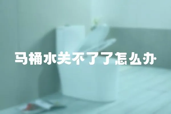 馬桶水關不了了怎么辦