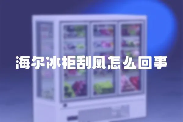 海爾冰柜刮風(fēng)怎么回事