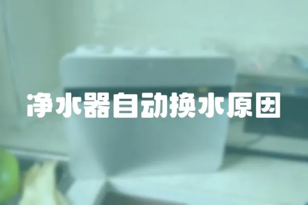 凈水器自動換水原因