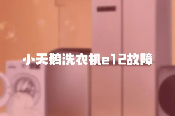 小天鵝洗衣機(jī)e12故障