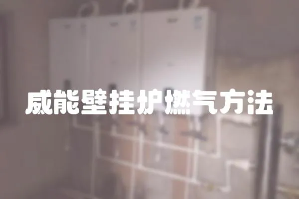 威能壁掛爐燃氣方法