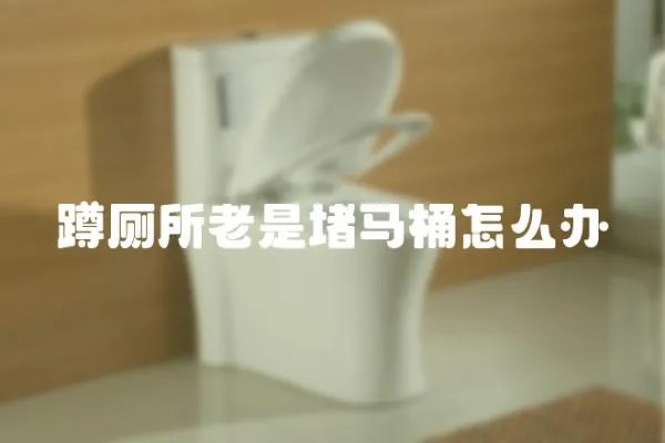 蹲廁所老是堵馬桶怎么辦