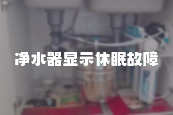 凈水器顯示休眠故障