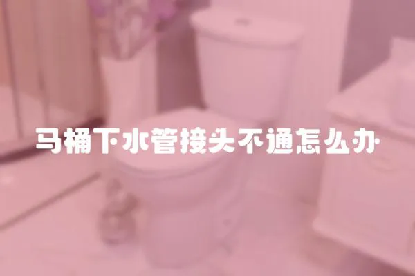 馬桶下水管接頭不通怎么辦