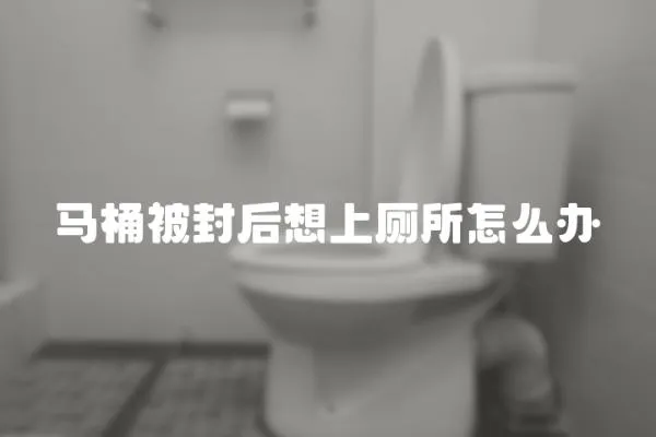 馬桶被封后想上廁所怎么辦