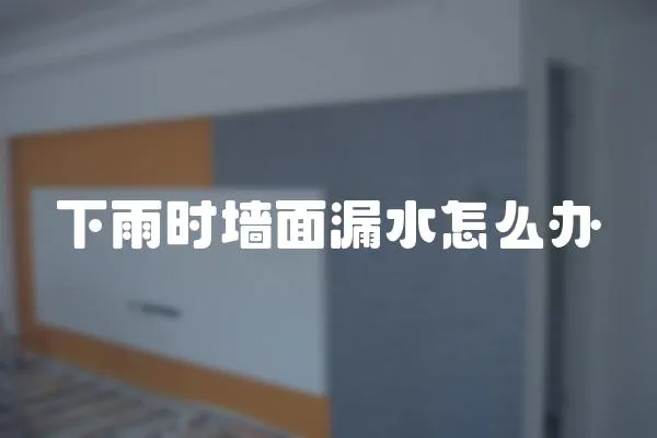 下雨時墻面漏水怎么辦