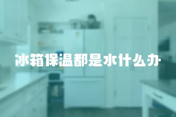 冰箱保溫都是水什么辦