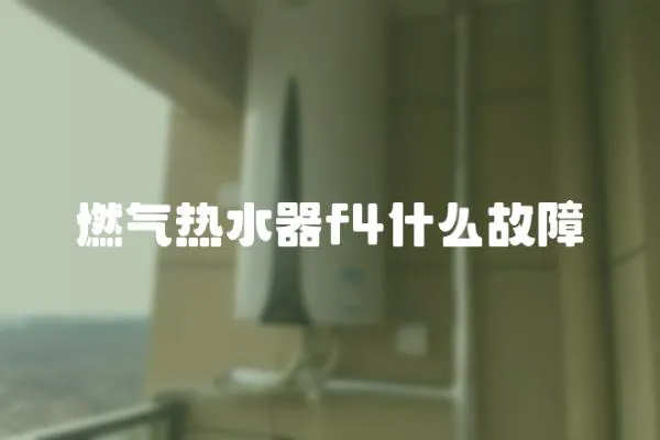 燃?xì)鉄崴鱢4什么故障