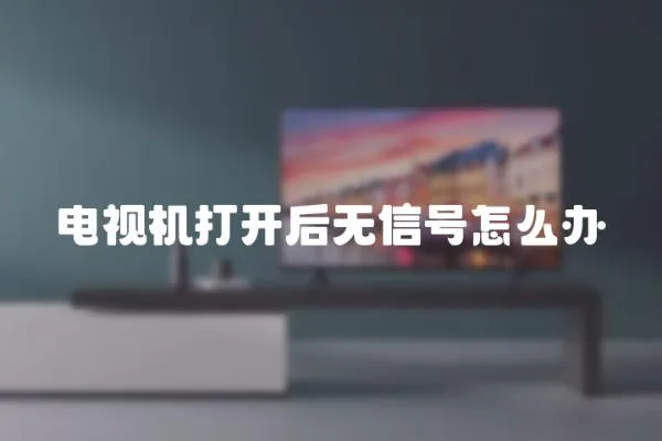 電視機打開后無信號怎么辦