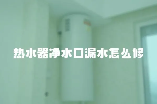 熱水器凈水口漏水怎么修