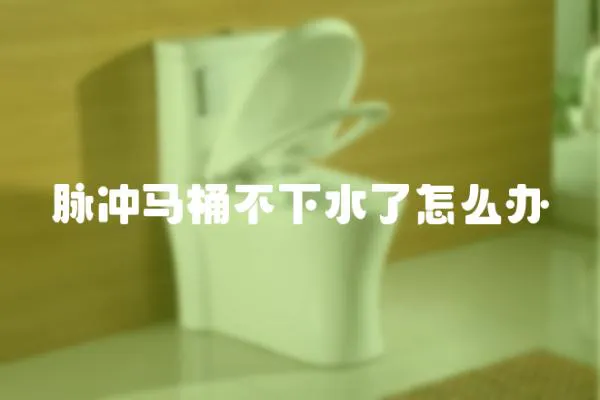 脈沖馬桶不下水了怎么辦