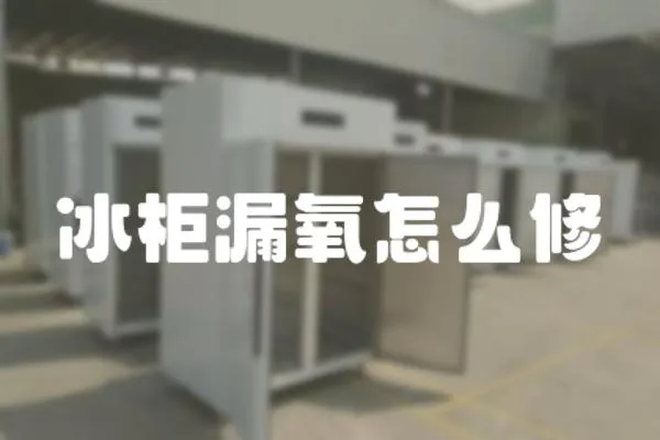 冰柜漏氧怎么修