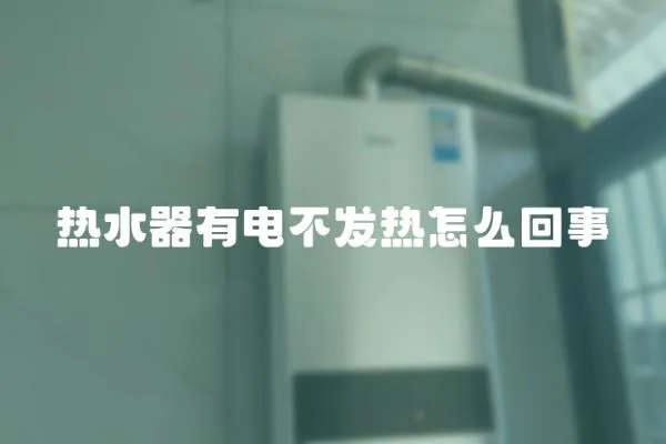 熱水器有電不發(fā)熱怎么回事