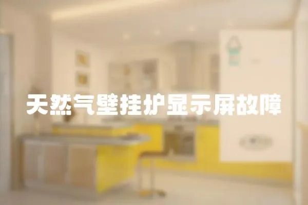 天然氣壁掛爐顯示屏故障