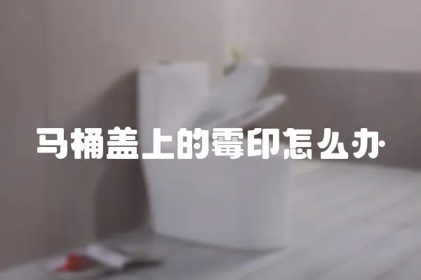 馬桶蓋上的霉印怎么辦
