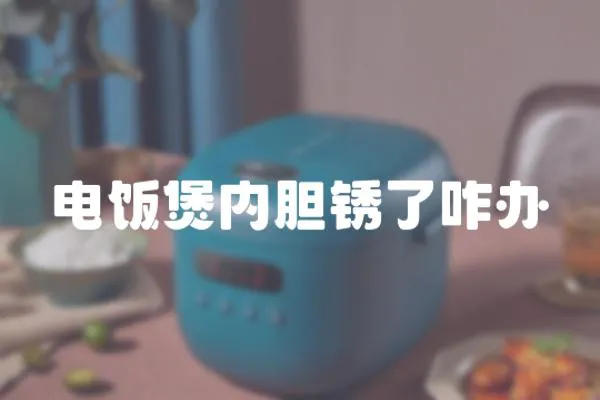 電飯煲內(nèi)膽銹了咋辦