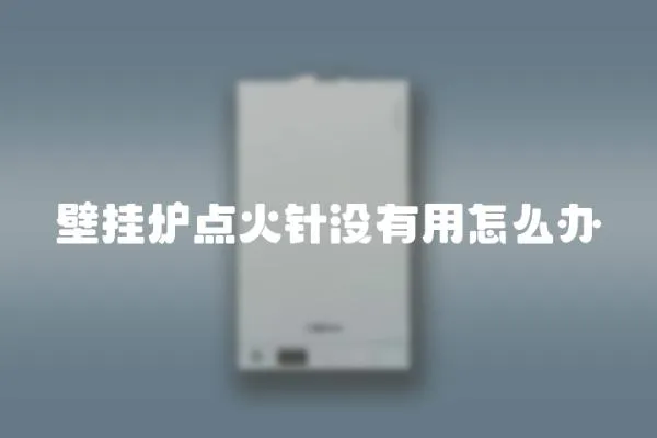 壁掛爐點火針沒有用怎么辦