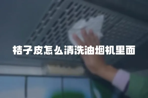 桔子皮怎么清洗油煙機里面
