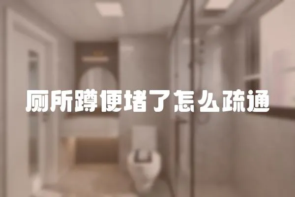 廁所蹲便堵了怎么疏通