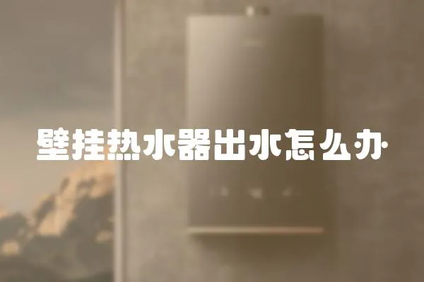 壁掛熱水器出水怎么辦