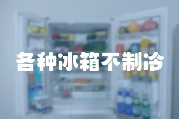 各種冰箱不制冷