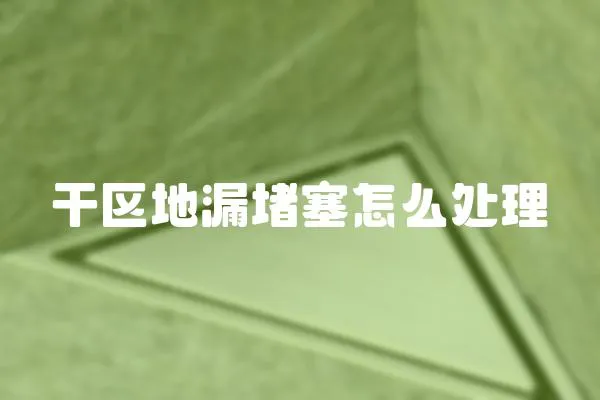 干區(qū)地漏堵塞怎么處理