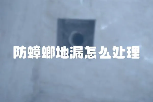 防蟑螂地漏怎么處理