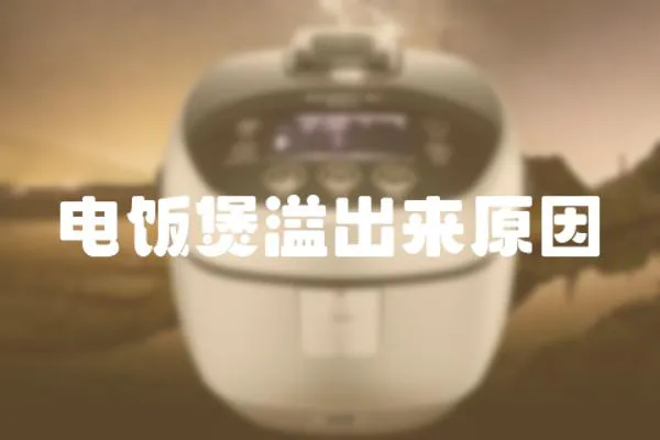 電飯煲溢出來原因