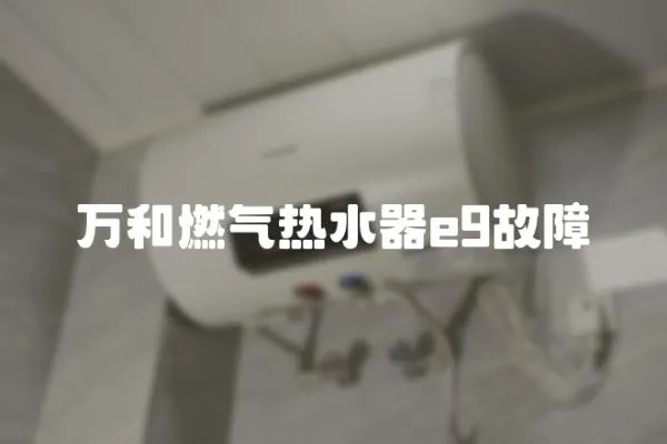 萬和燃氣熱水器e9故障