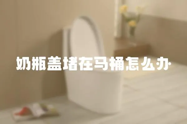 奶瓶蓋堵在馬桶怎么辦