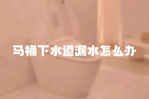 馬桶下水道漏水怎么辦