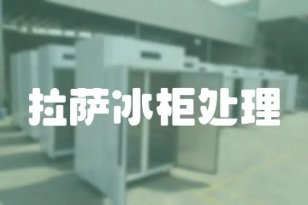 拉薩冰柜處理